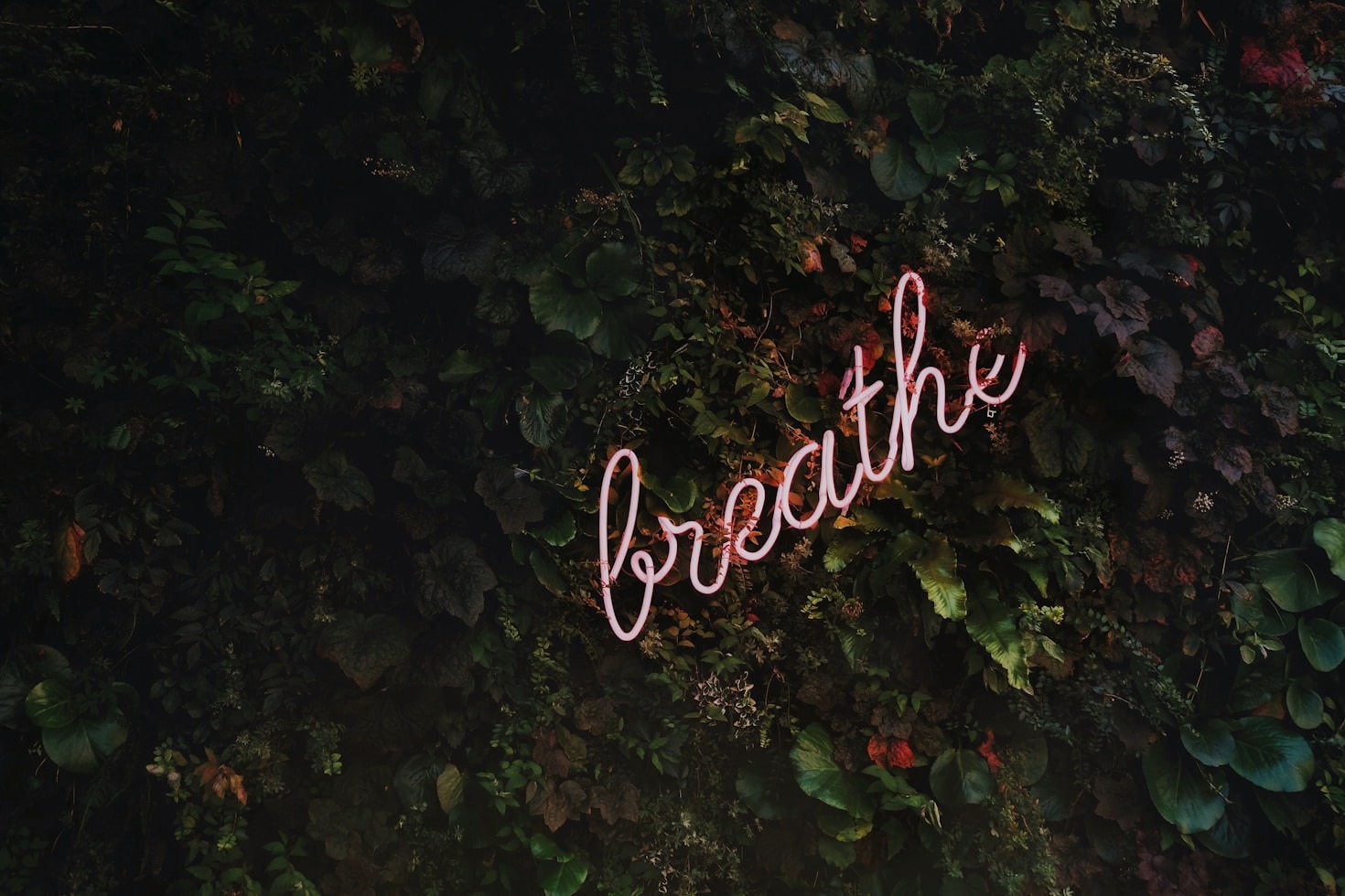 Life Hacks to Simplify Your Routine